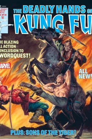 Deadly Hands of Kung Fu (1974) #30