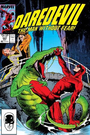 Daredevil (1964) #247