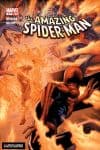 Amazing Spider-Man Digital (2009) #17 cover