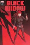 Black Widow (2020) #15 (Variant) cover