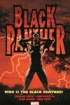 Barnes & Noble Black Panther: Who Is the Black Panther? (Trade Paperback) cover