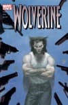 Wolverine (1988) #182 cover