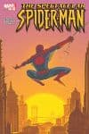 Spectacular Spider-Man (2003) #27 cover