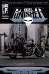 Punisher (2001) #30 cover