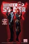 Winter Soldier (2012) #14 cover