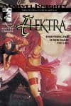 Elektra (2001) #19 cover