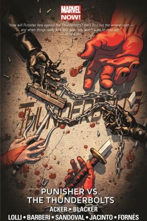 THUNDERBOLTS VOL. 5: PUNISHER VS. THE THUNDERBOLTS TPB (Trade Paperback)