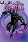 Black Panther (2018) #23 (Variant) cover