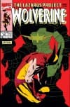 Wolverine (1988) #30 cover