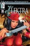 Elektra (2001) #8 cover