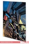 Essential Punisher Vol. 2 (Trade Paperback) cover