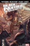 Black Panther: The Man Without Fear (2010) #519 cover