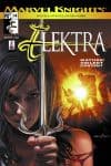 Elektra (2001) #14 cover