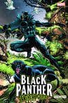 Black Panther: Panther's Quest (Trade Paperback) cover