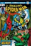 The Amazing Spider-Man (1963) #124 cover