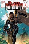 Black Panther: Blood Hunt (2024) #2 (Variant) cover