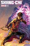 Shang-Chi (2021) #12 (Variant) cover