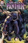 Black Panther (2023) #7 (Variant) cover