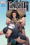 Punisher War Journal (2006) #14 cover