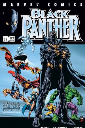 Black Panther (1998) #35