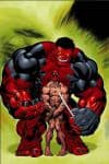 Hulk (2008) #16 (MCGUINNESS DEADPOOL VARIANT) cover