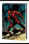 Shadowland: Daredevil (Hardcover) cover