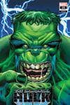 Immortal Hulk (2018) #25 (Variant) cover