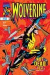 Wolverine (1988) #122 cover