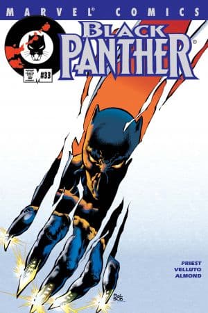 Black Panther (1998) #33