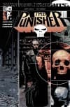 Punisher (2001) #28 cover