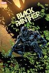 Black Panther (2021) #4 (Variant) cover