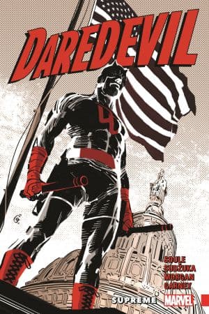 DAREDEVIL: BACK IN BLACK VOL. 5 - SUPREME TPB (Trade Paperback)