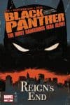 Black Panther: The Most Dangerous Man Alive  (2010) #529 cover