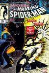 Amazing Spider-Man Facsimile Edition (2024) #256 cover