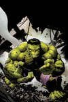 Incredible Hulk (2023) #9 (Variant) cover