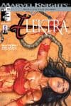 Elektra (2001) #13 cover