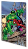 HULK VS. THE MARVEL UNIVERSE TPB (Trade Paperback) cover