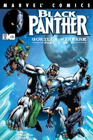 Black Panther (1998) #34