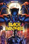 Black Panther (2021) #12 (Variant) cover