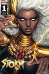 Storm (2023) #1 (Variant) cover